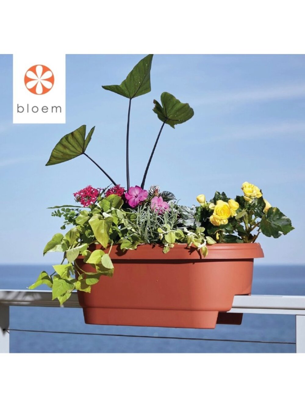 Bloem Terra Cotta Oval Deck Rail Planter 24" Elevated Garden Box (Quantity 3)